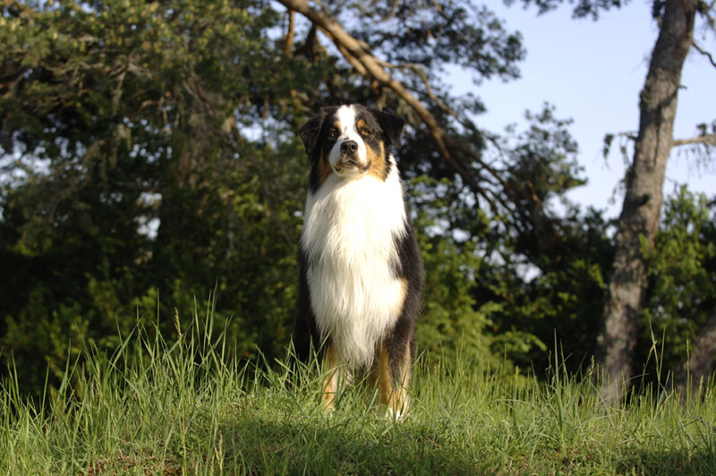 Publication : au coeur du verdon
