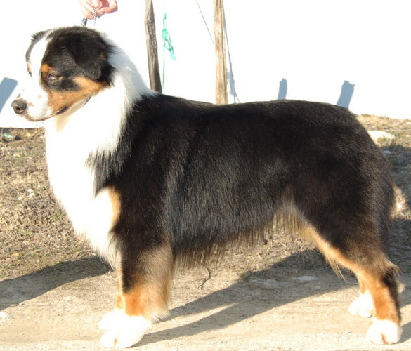 Publication : au coeur du verdon