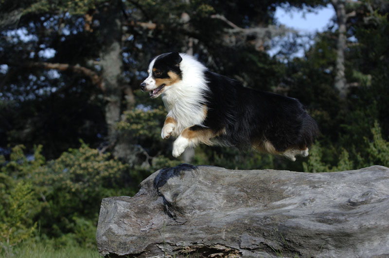 Publication : au coeur du verdon