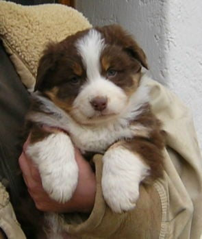 Publication : au coeur du verdon