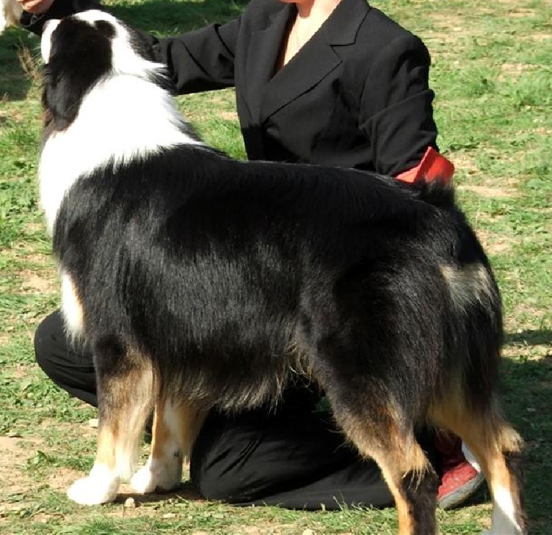 Publication : au coeur du verdon