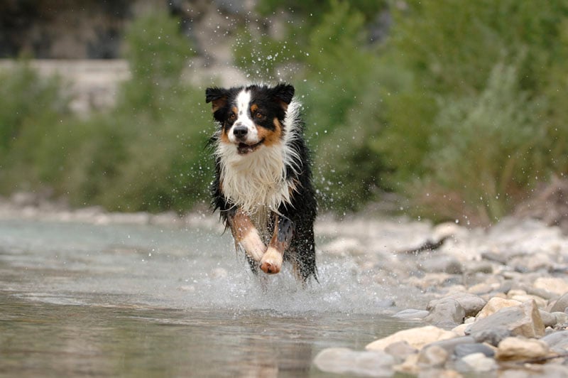Publication : au coeur du verdon