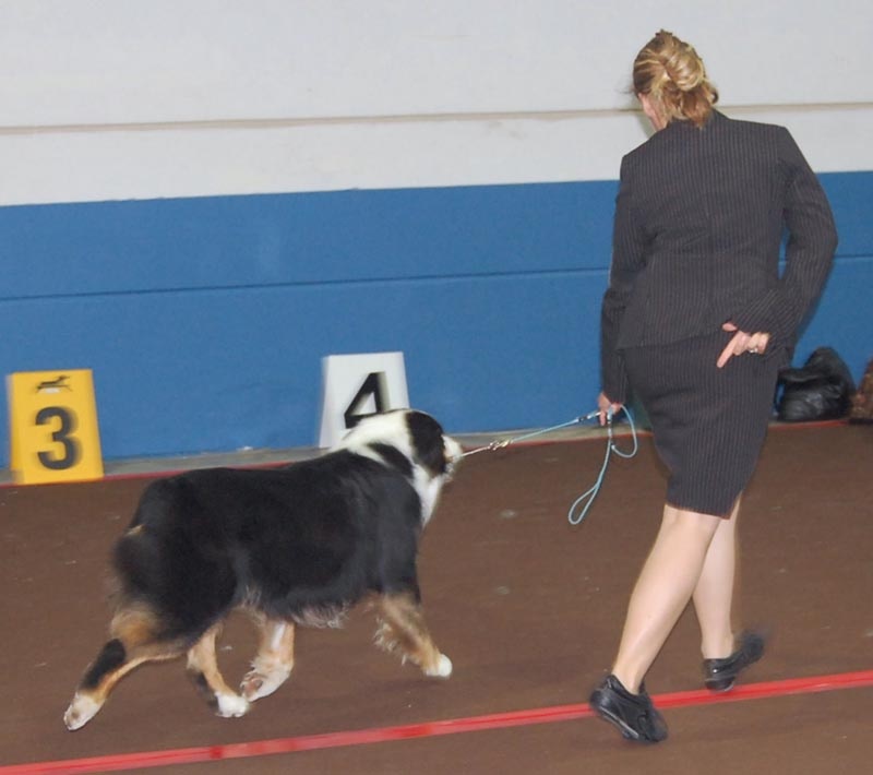 Publication : au coeur du verdon