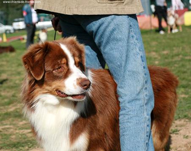 V'max des Chemins Cathares - 2 eme excellent en classe ouverte male