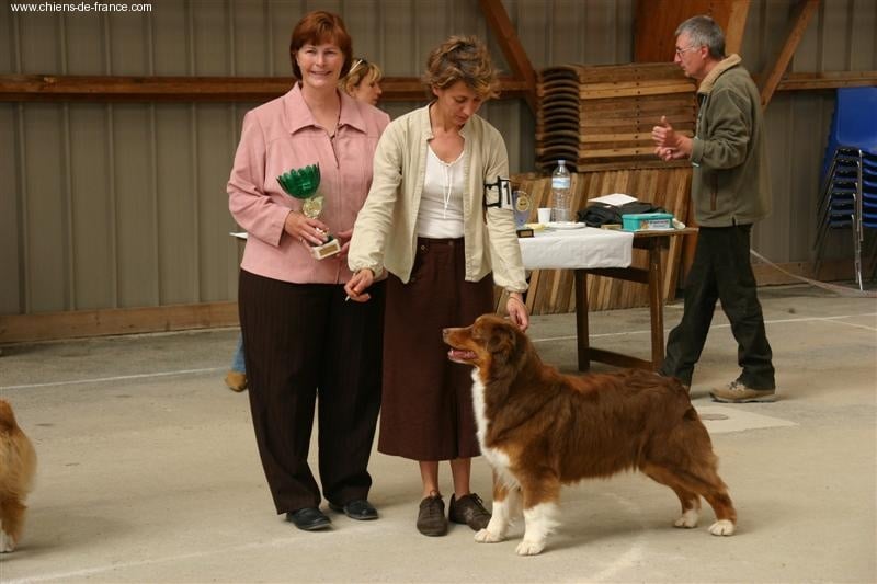 Sally des Chemins Cathares - 2eme Exc en classe ouverte femelle RCACS vice championne de france 2006