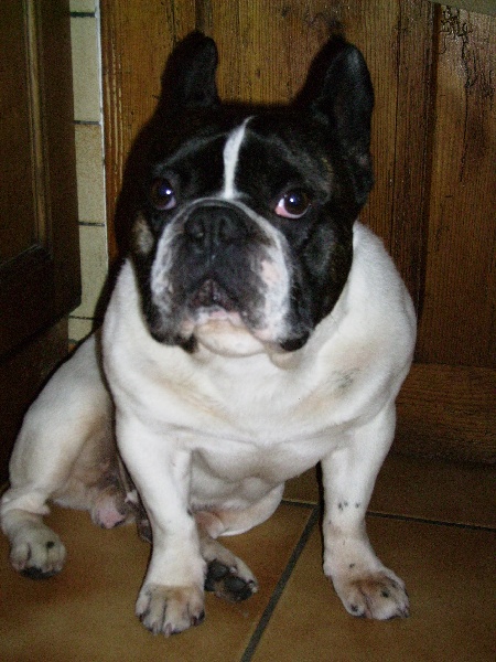 Publication : Du Domaine de Boisseret