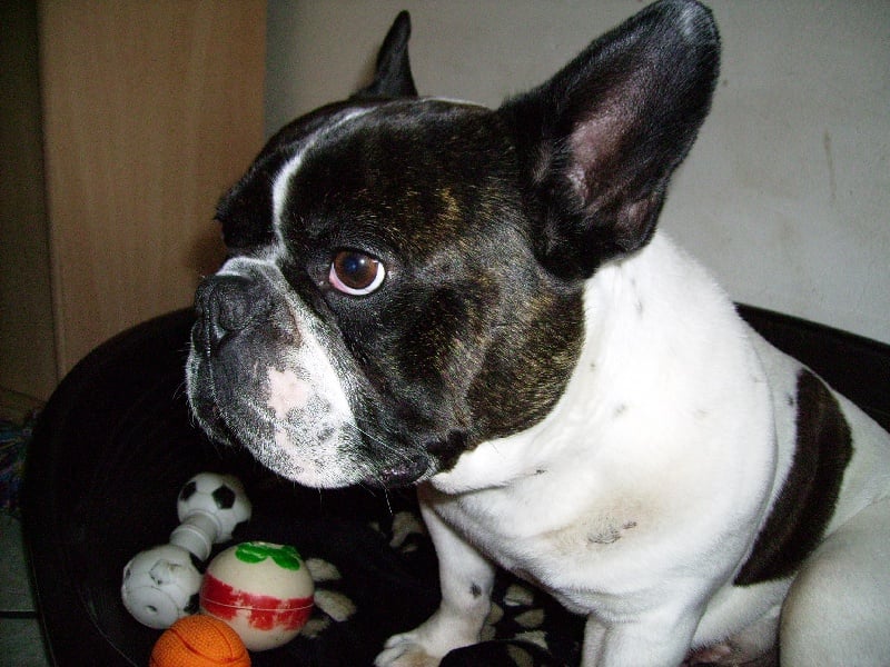 Publication : Du Domaine de Boisseret