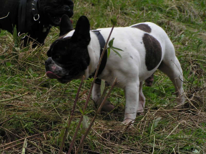 Publication : Du Domaine de Boisseret