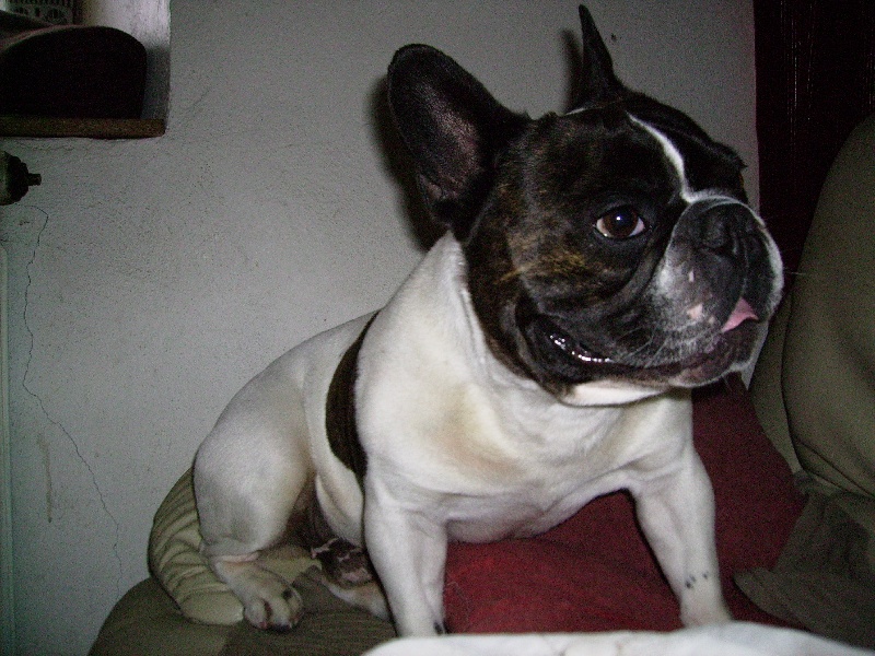 Publication : Du Domaine de Boisseret