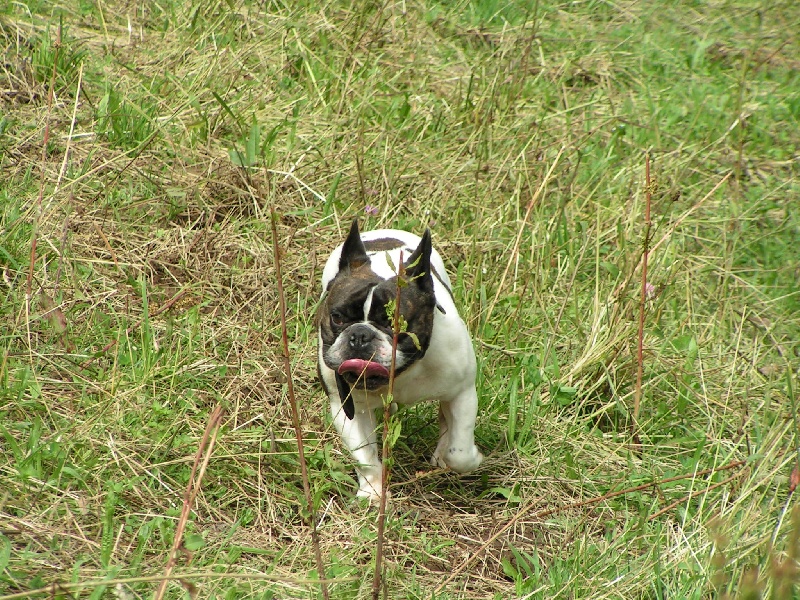 Publication : Du Domaine de Boisseret