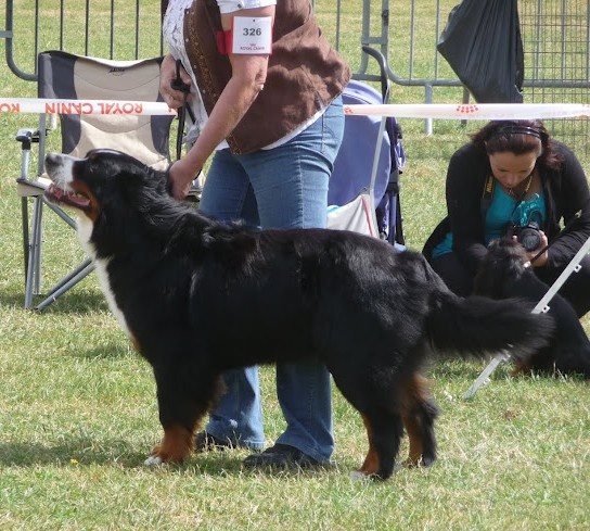 Foehn de La Balade du Briantais - 4ème Excellent Classe Ouverte