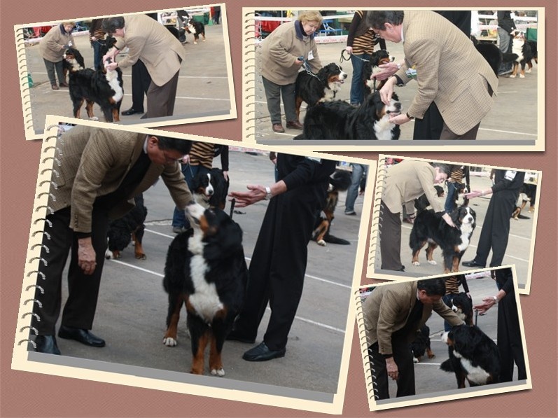 C.bee de La Balade du Briantais - 5ème Très Bon