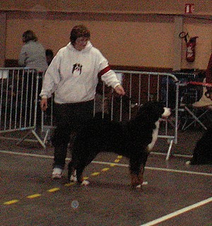 C.bee de La Balade du Briantais - 2éme Excellent