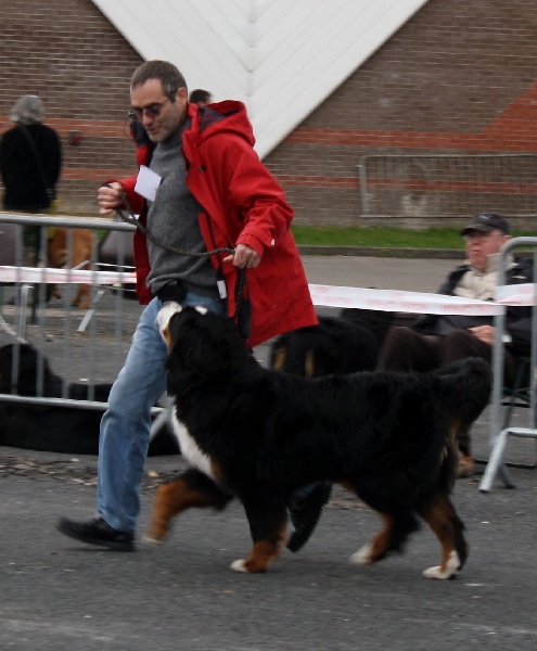 C.bee de La Balade du Briantais - Excellent