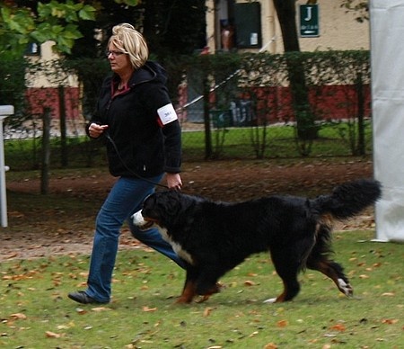 C.bee de La Balade du Briantais - 4ème excellent