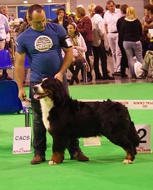 Foehn de La Balade du Briantais - 3ème TB Classe Ouverte