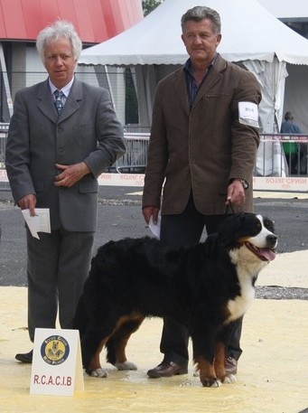 C.bee de La Balade du Briantais - 1 ère Exc CACS RCACIB homologué en CACIB