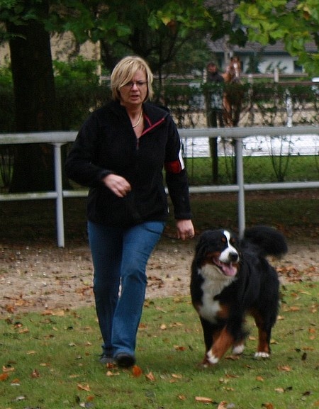 Foehn de La Balade du Briantais - 1ère Excellent Classe Jeune