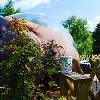 - BULLE DU BELON