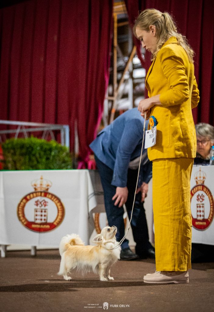 CH. lookum Regenesis - Exl 1, CAC, CACIB, Meilleur Sexe Opposé, Champion du Monaco