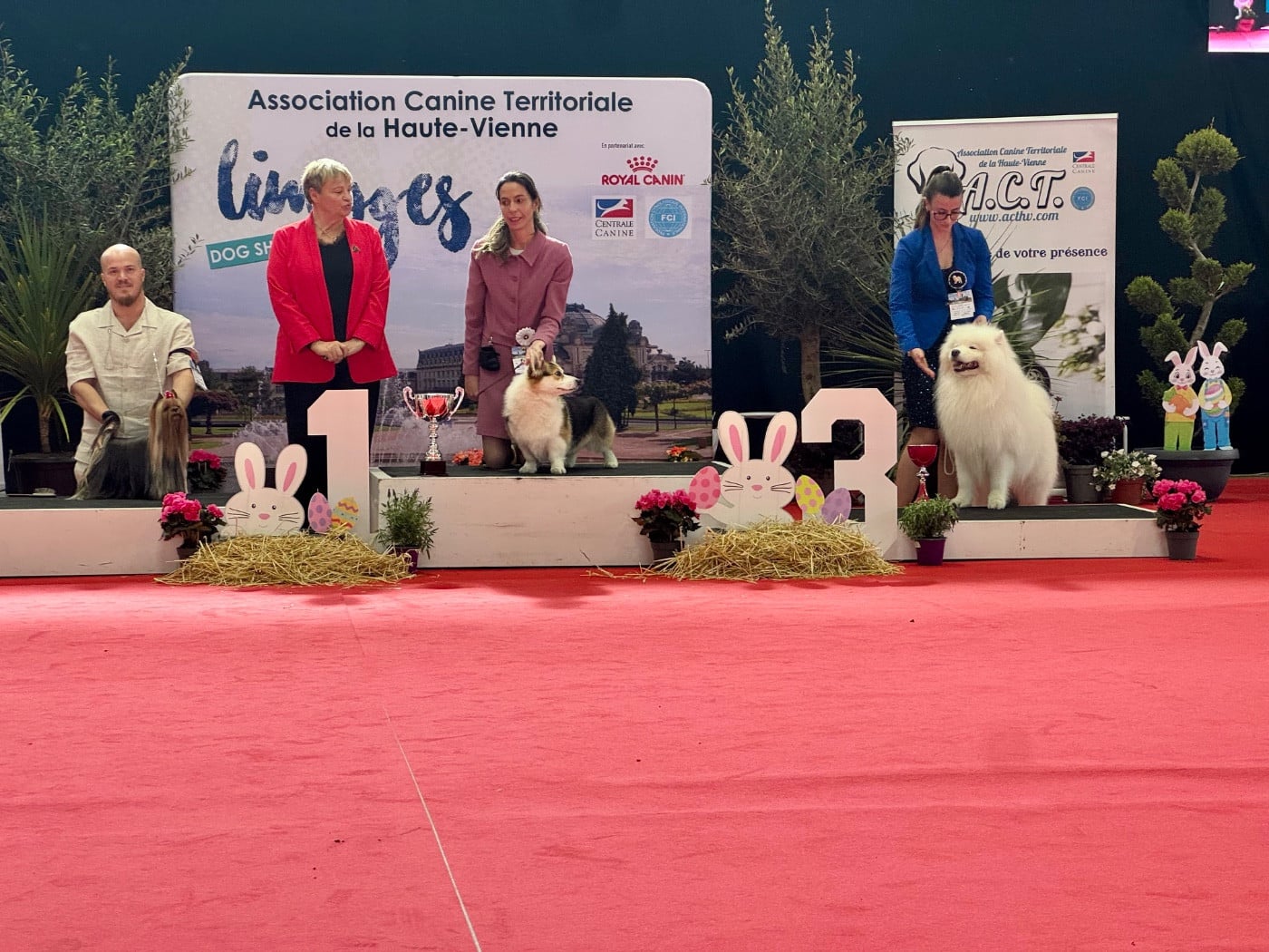 CH. Delivano's presents to you In vision - 1er EXC - CACIB - BOB - BOB Champion - 3e BIS Champion
