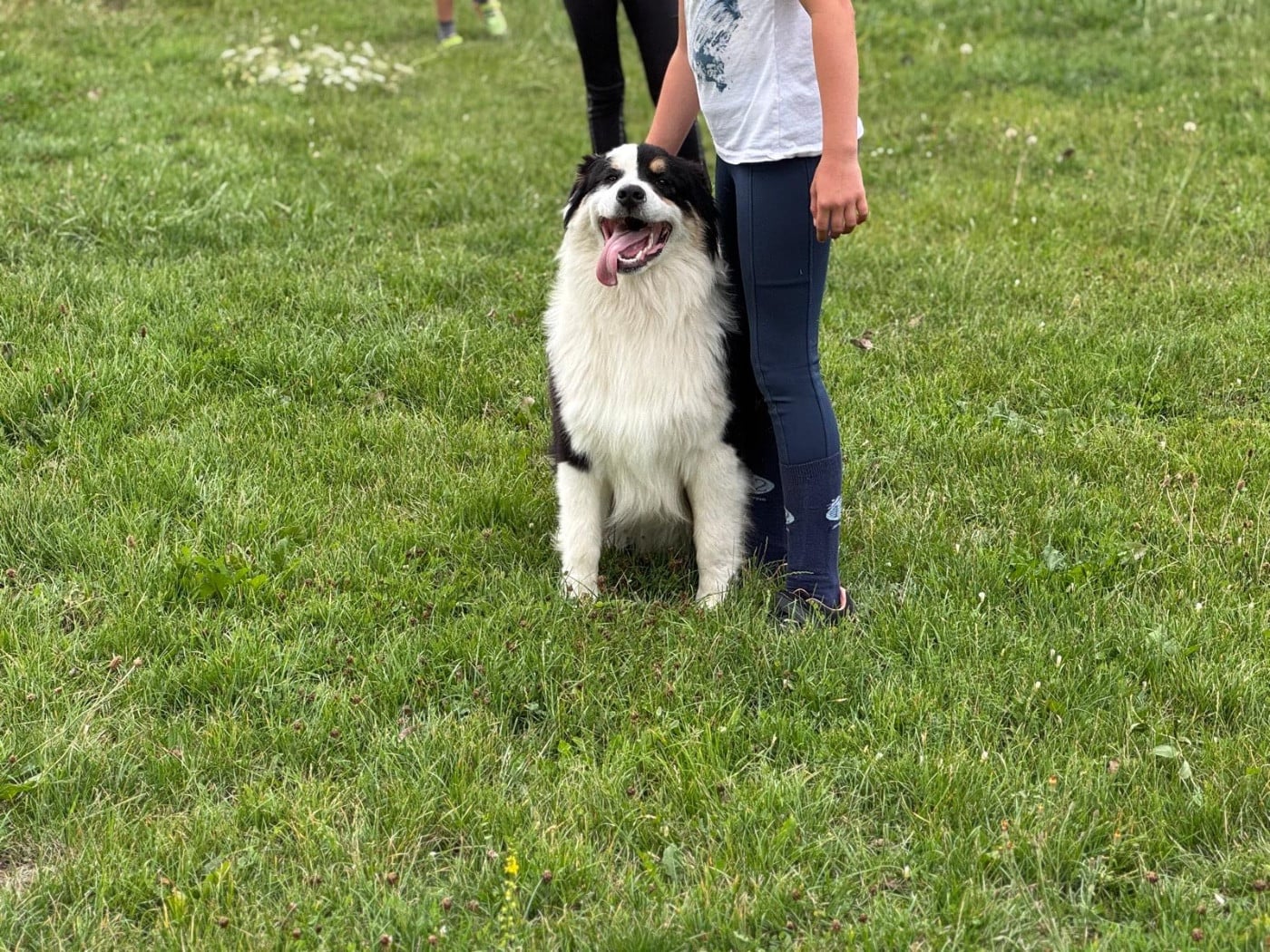 Publication : In Memory Of Nanou