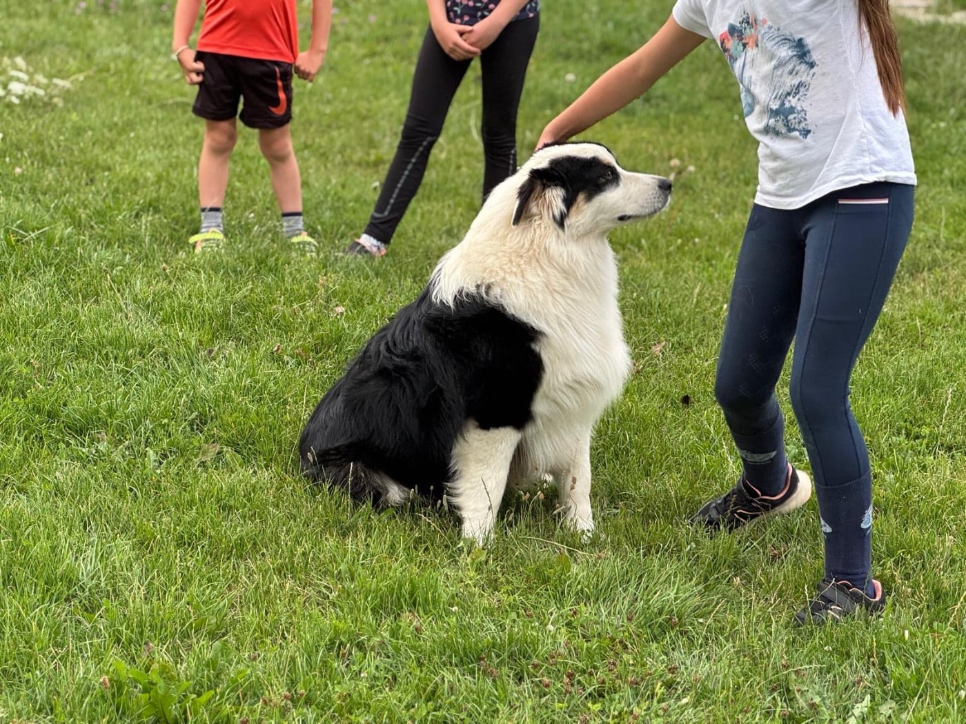 Publication : In Memory Of Nanou