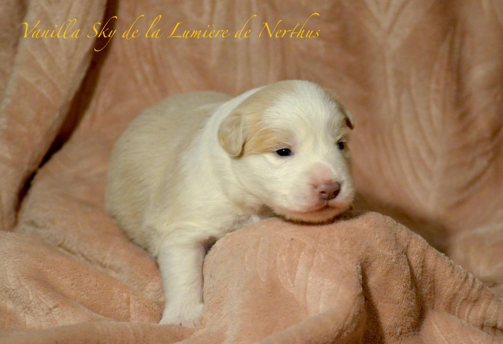 Vanilla Sky de la Lumière de Nerthus