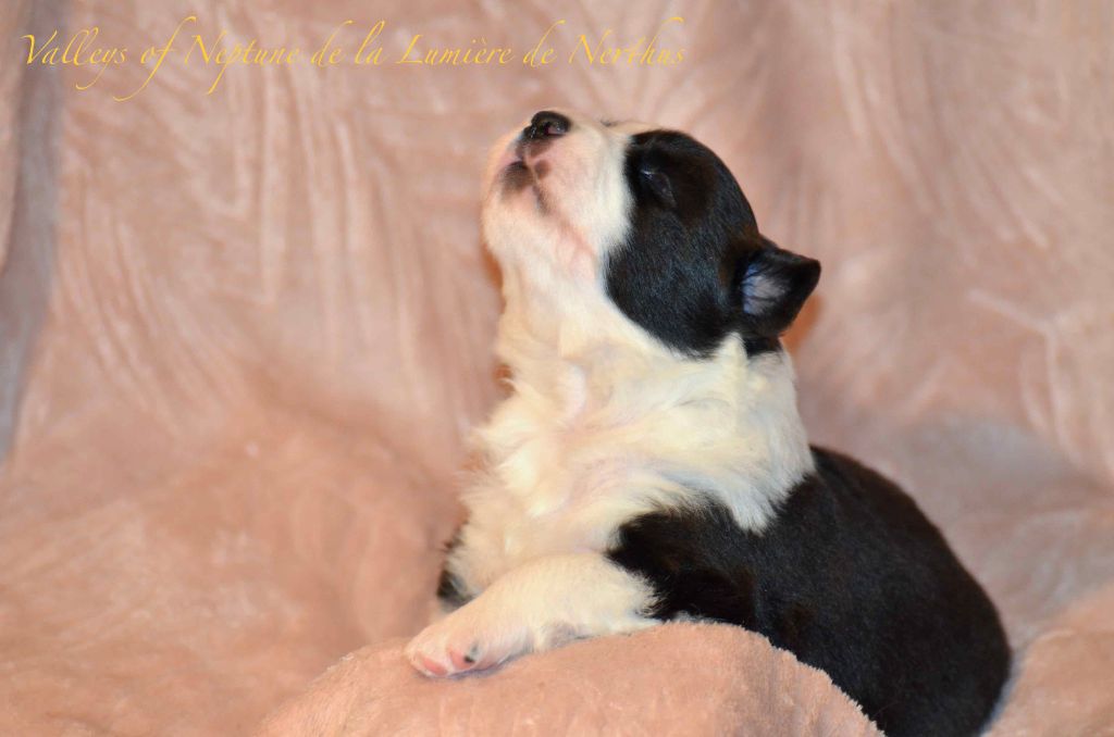 Valleys of Neptune de la Lumière de Nerthus