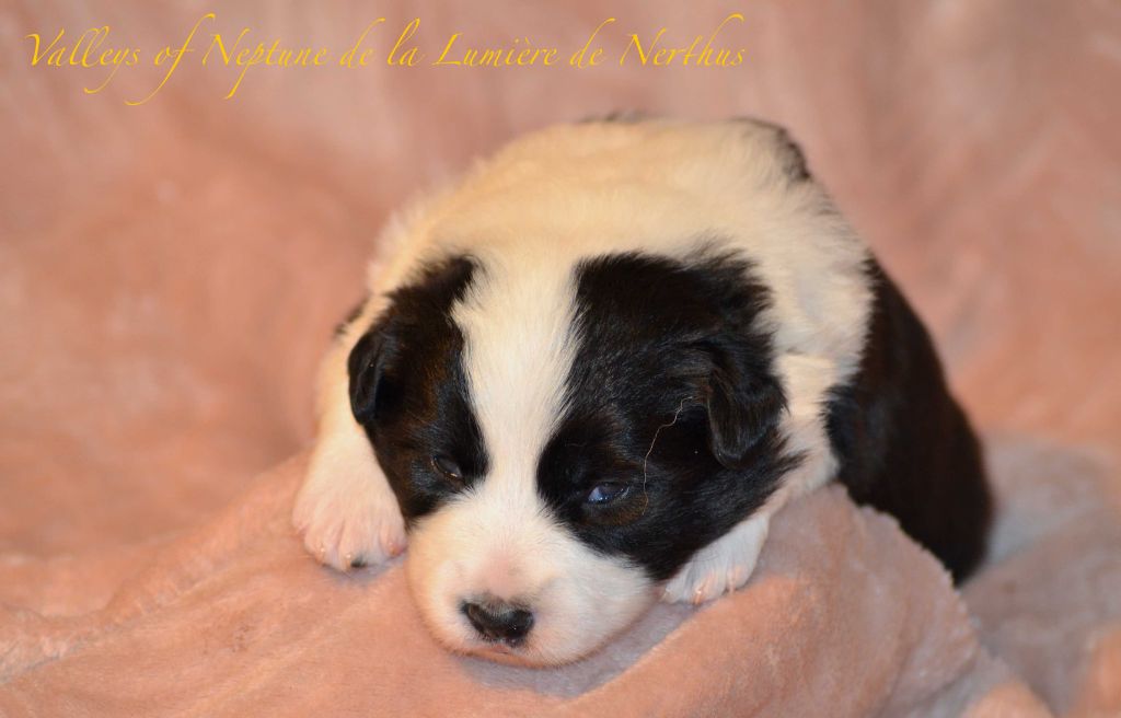 Valleys of Neptune de la Lumière de Nerthus