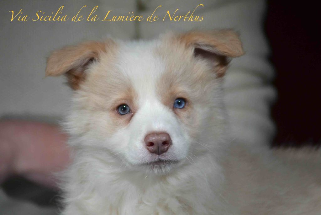 Via Sicilia de la Lumière de Nerthus