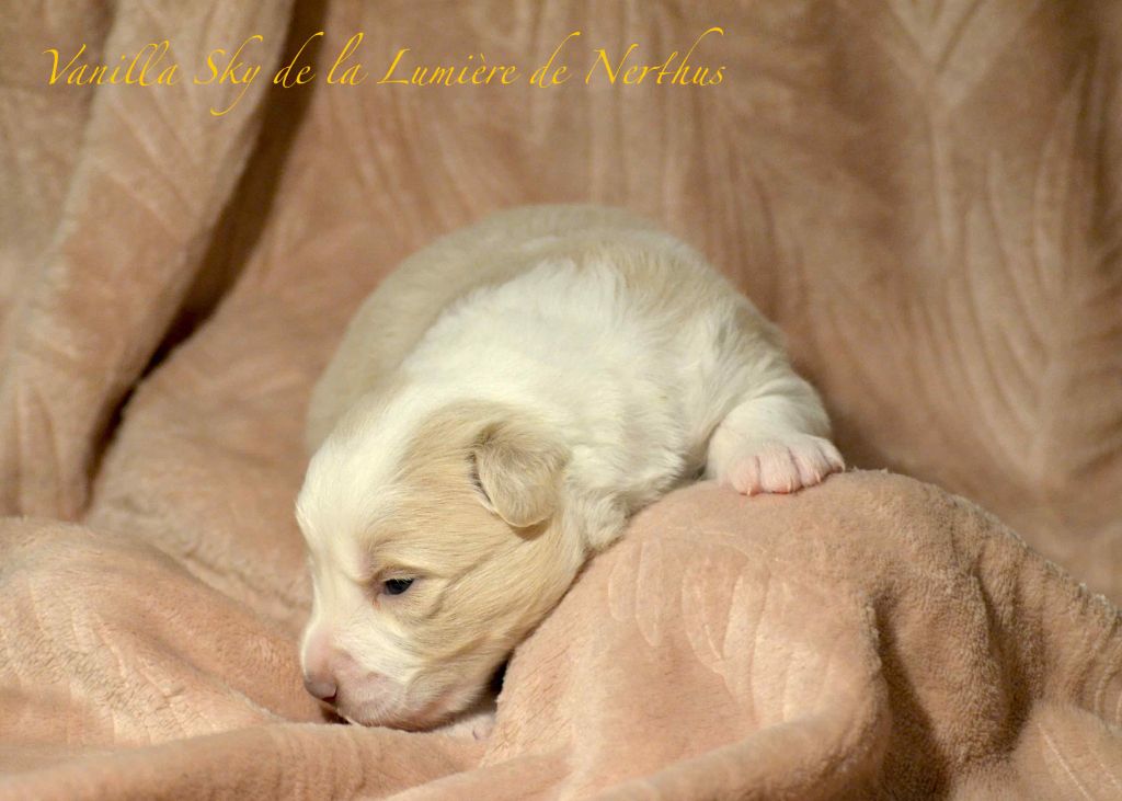 Vanilla Sky de la Lumière de Nerthus