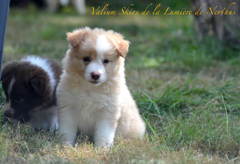 Valium Skies de la Lumière de Nerthus