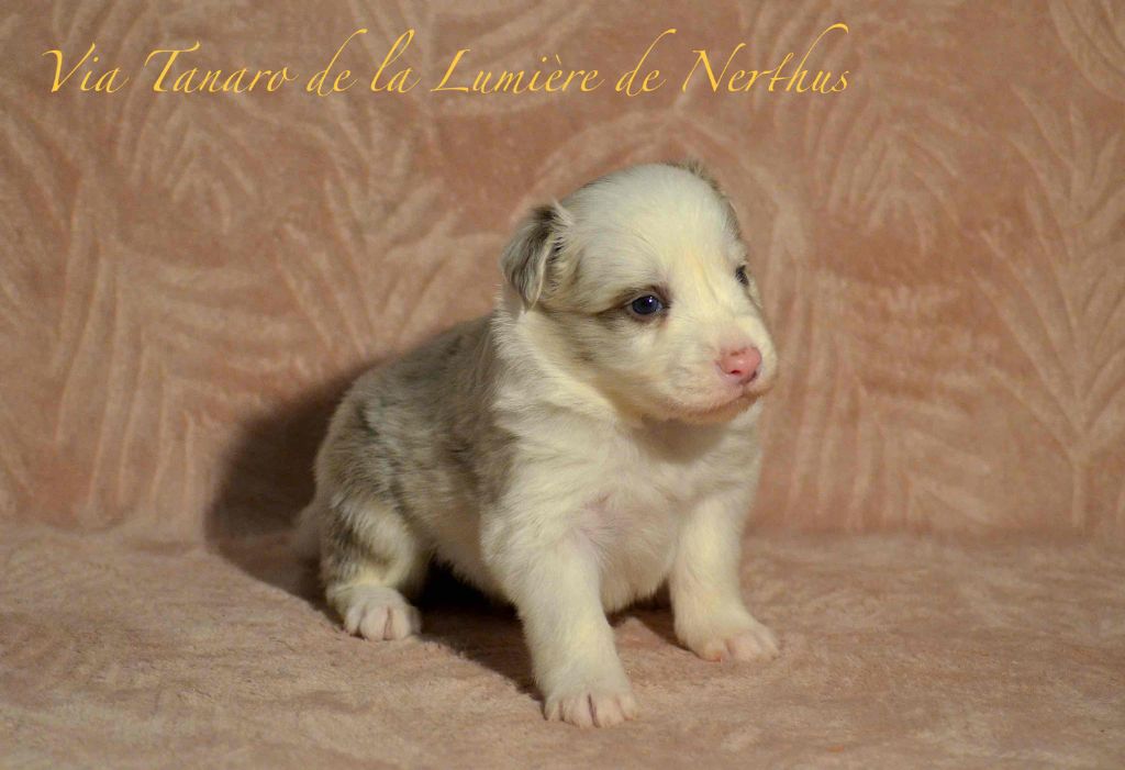 Via Tanaro de la Lumière de Nerthus