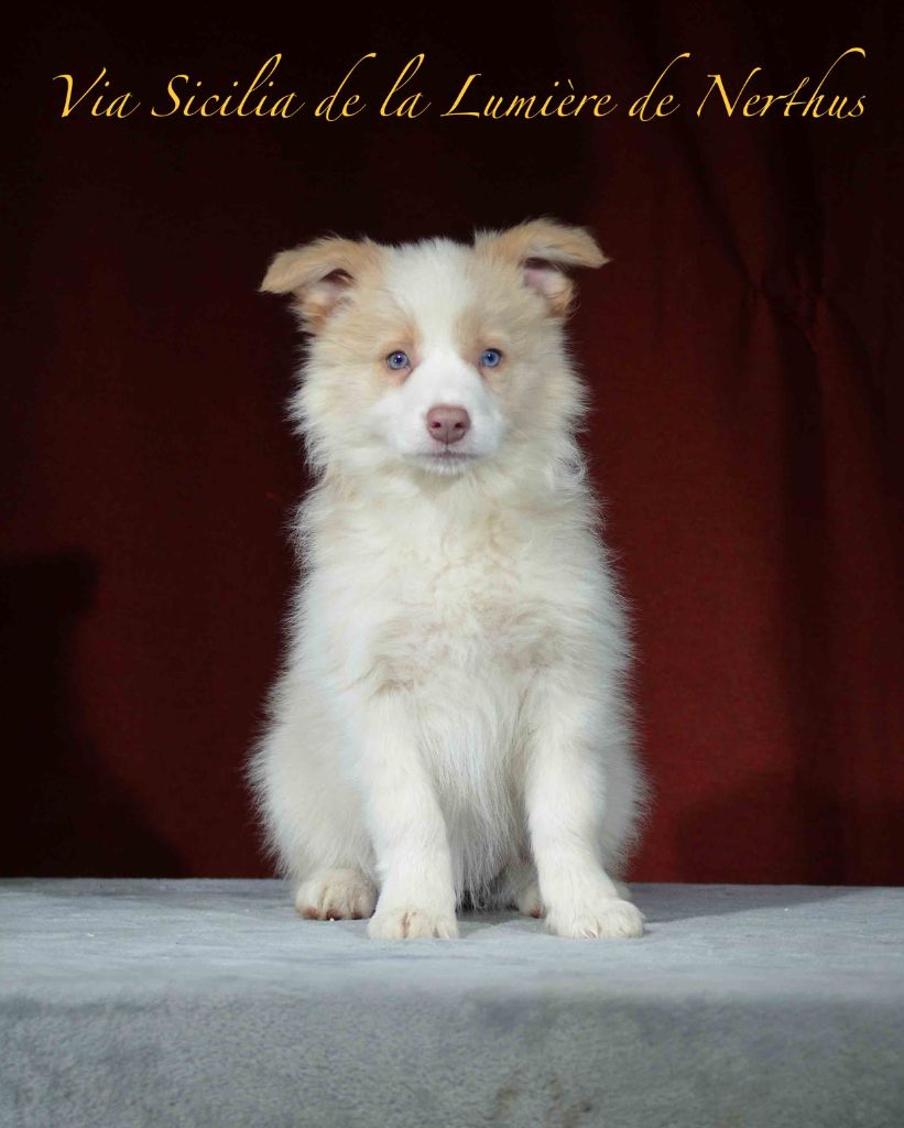 Via Sicilia de la Lumière de Nerthus