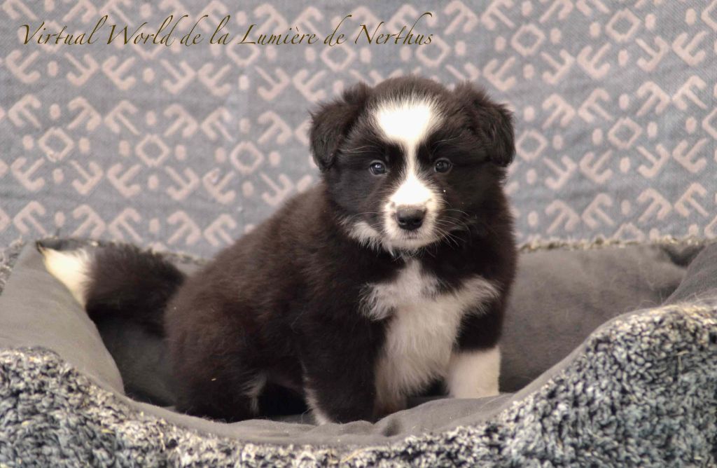 Virtual World de la Lumière de Nerthus