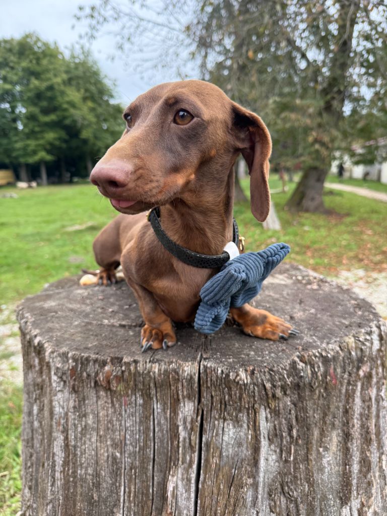 U2 de la Garenne en Hurepoix