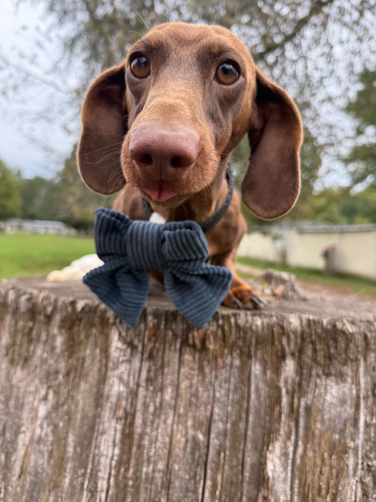 U2 de la Garenne en Hurepoix