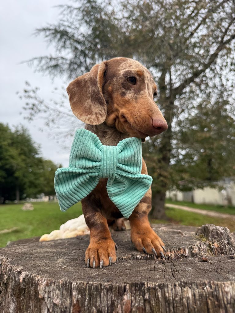 After eight De La Foret Du Landy