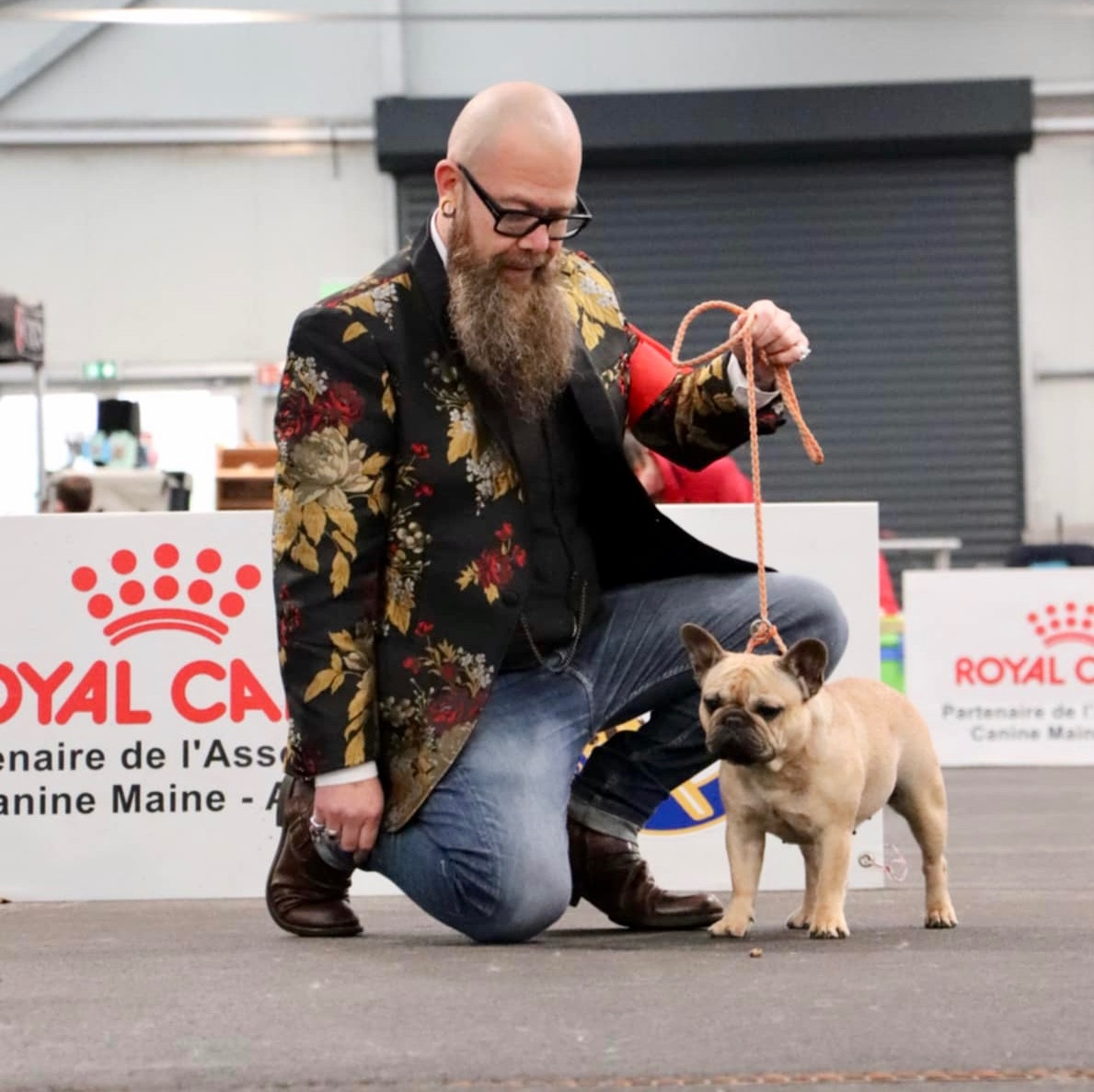 CH. dreamlegacy Rumba - Classe Ouverte : 2ieme EXC RCACS