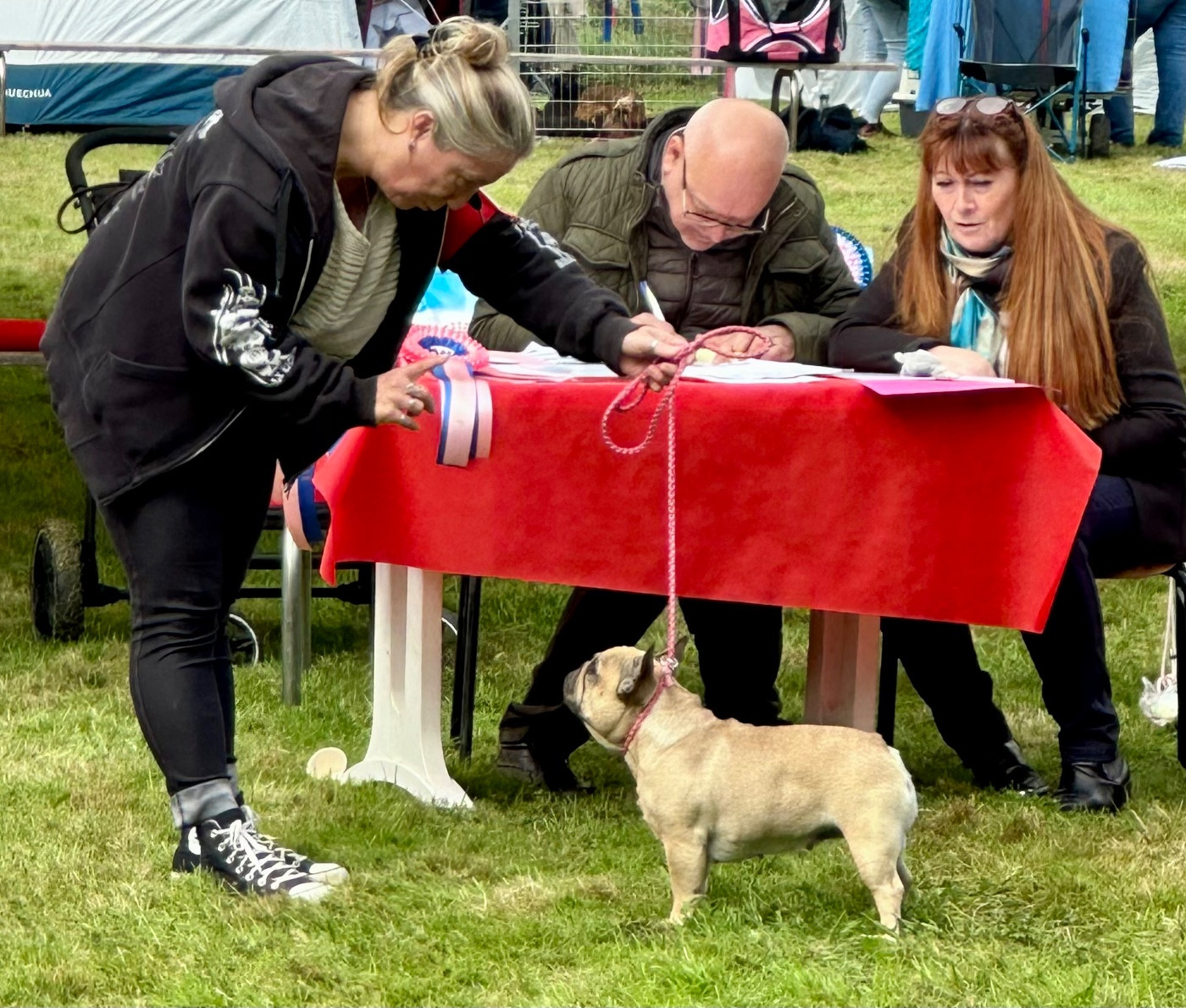 CH. dreamlegacy Rumba - Classe Ouverte : 3ieme EXC