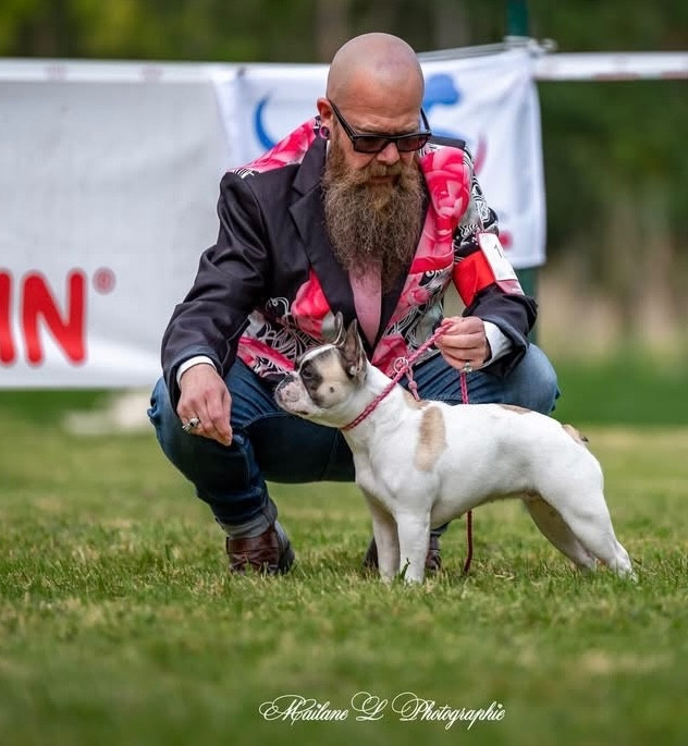 CH. Aaron's Soul Version dedicacée by tara - Classe Intermédiaire : 3ieme TB