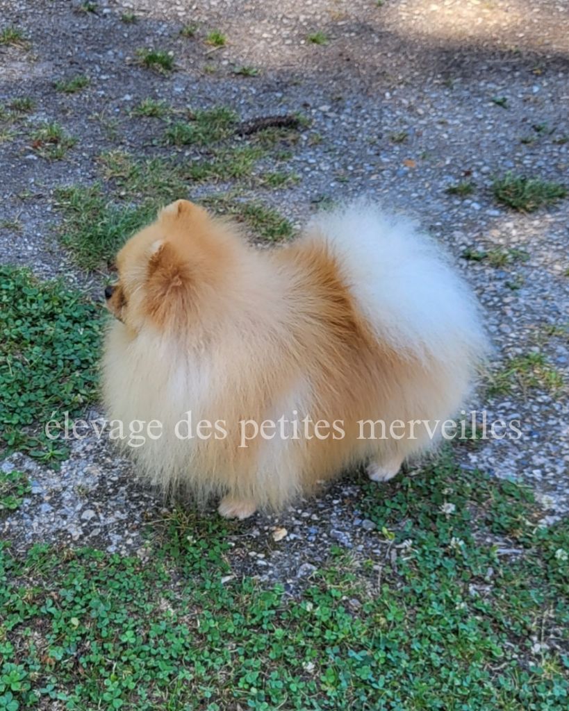 Tao (Sans Affixe)