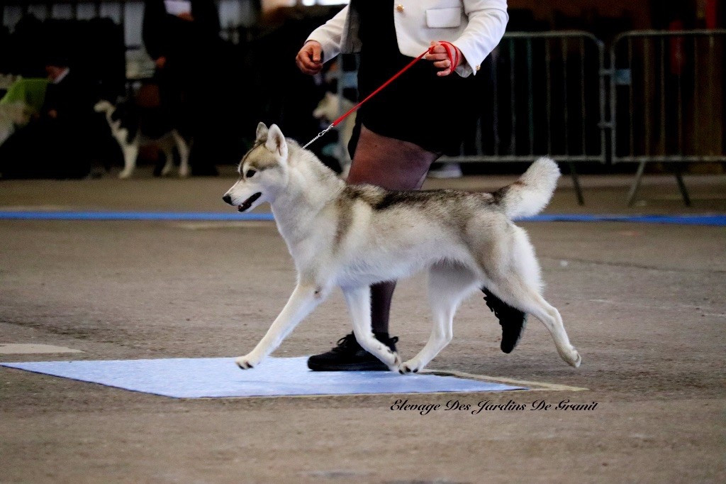 Umpoco des jardins d'Epona