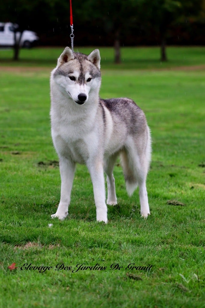 Umpoco des jardins d'Epona