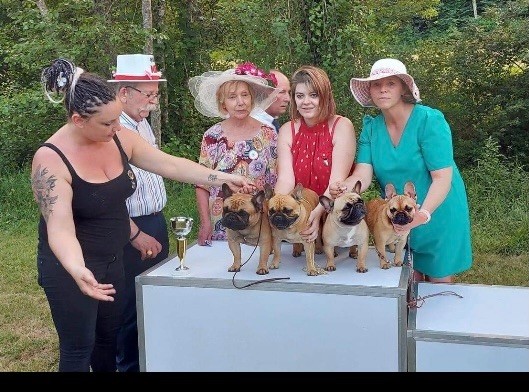 CH. Roxy Shamrock Cottage - 1er place lot d?affixe