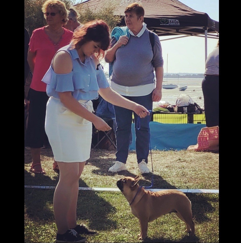 CH. Roxy Shamrock Cottage - 1er exc classe jeune femelle / meilleur jeune femelle