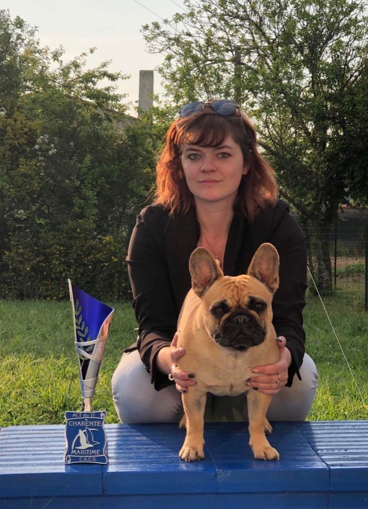 CH. Roxy Shamrock Cottage - Classe ouverte femelle 1er excellente CACS