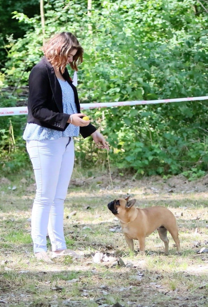 CH. Roxy Shamrock Cottage - Classe intermédiaire 1er exc