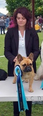 CH. Roxy Shamrock Cottage - 1er exc classe jeune femelle